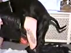 Black dog pounding on sexy chick's big ass k9 porn
